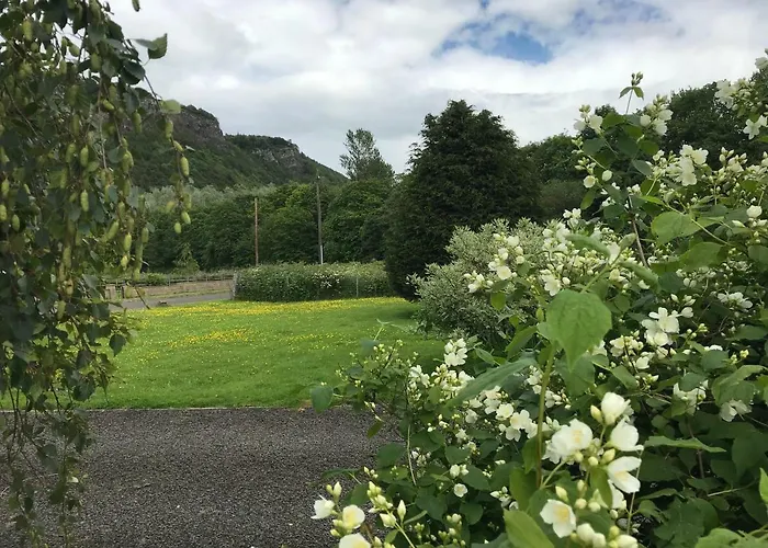 Clover Holidays - Cliff View