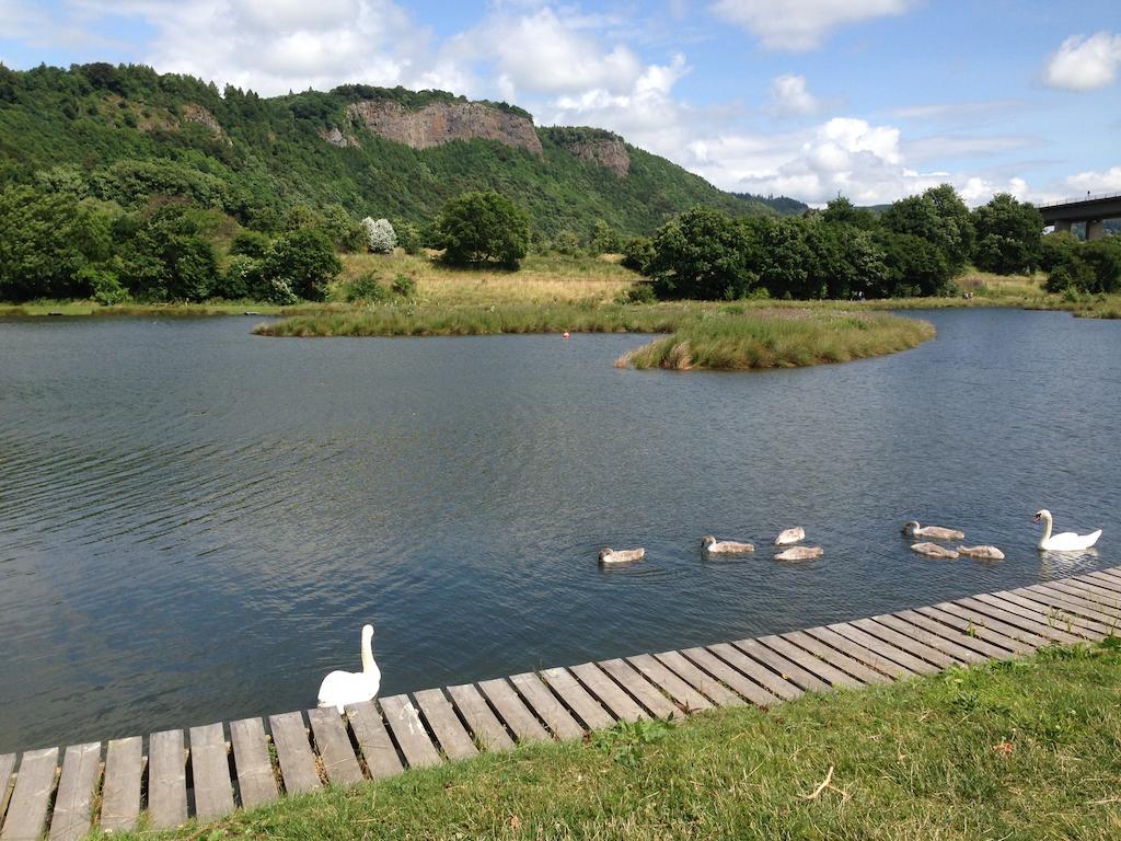 Holiday home Clover Holidays - Cliff View *